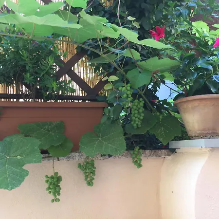 Apartment Testaccio Historic House